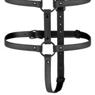 Adjustable Torso and Arms Suspension Harness