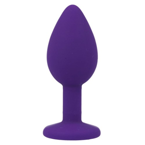 Intense Shelki S Anal Plug Purple