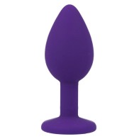 Intense Shelki S Anal Plug Purple