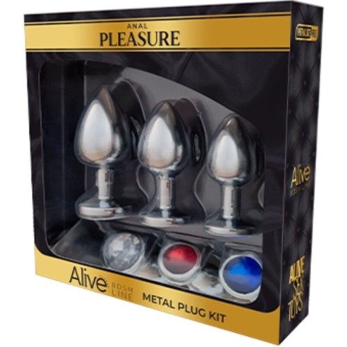 Anal Pleasure Kit 3 Plug Metal