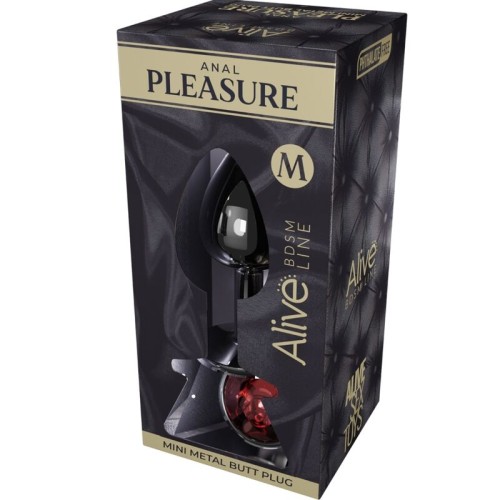 Red Metal Anal Pleasure Mini Plug M Size