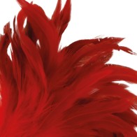 Darkness Stimulating Feather Red 24cm