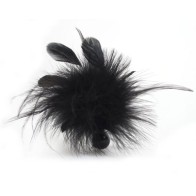 Bijoux Pom Pom Feather Duster