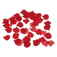 100 Red Petals for Romantic Moments