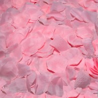 100 Pétalos Rosa para Momentos Románticos