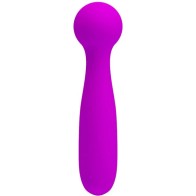 Wade 12-Function Rechargeable Massager