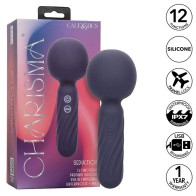 Charisma Seduction 12 Function Massager 17.75 cm x 6.25 cm Purple - Buy Online