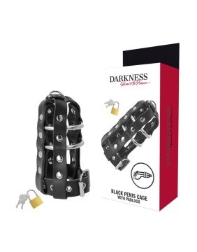 BDSM / Chastity Rings