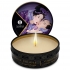 Shunga - Mini Caress by Candlelight Vela Masaje Frutas Exóticas 30 ml