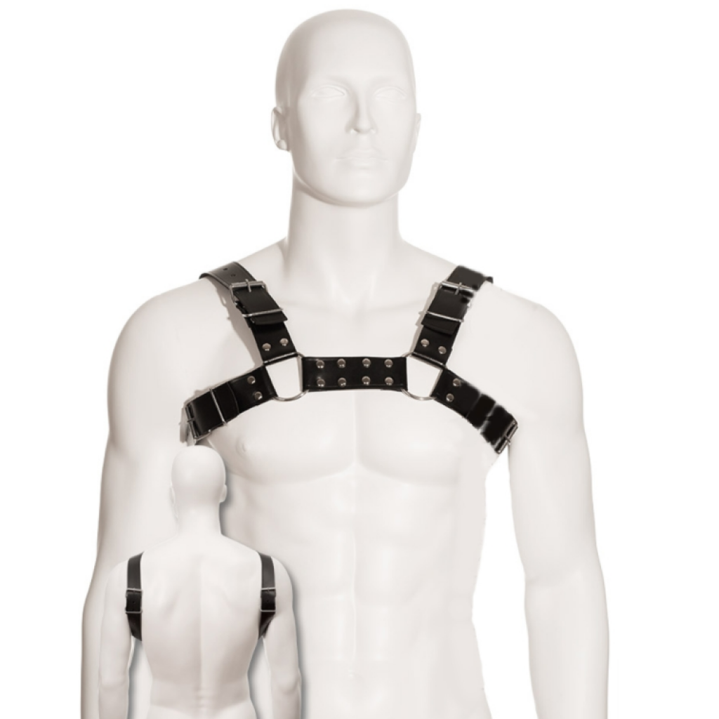 Black Bull Dog Harness