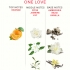 Eol Phr - Perfume Deluxe 50 Ml - One Love