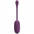 Huevo Vibrador Recargable Morado - Pretty Love