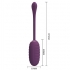 Huevo Vibrador Recargable Morado - Pretty Love