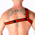 Macho - Arnés Romano Rojo S/M