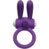 Anillo Vibrador Mr Bunny en Silicona Purple