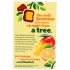 Fruit Gummies - Pure Organic Goodness