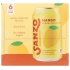 Sparkling Mango Water - Refreshing Beverage