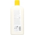 Nourishing Brilliant Shine Conditioner with Sunflower & Citrus