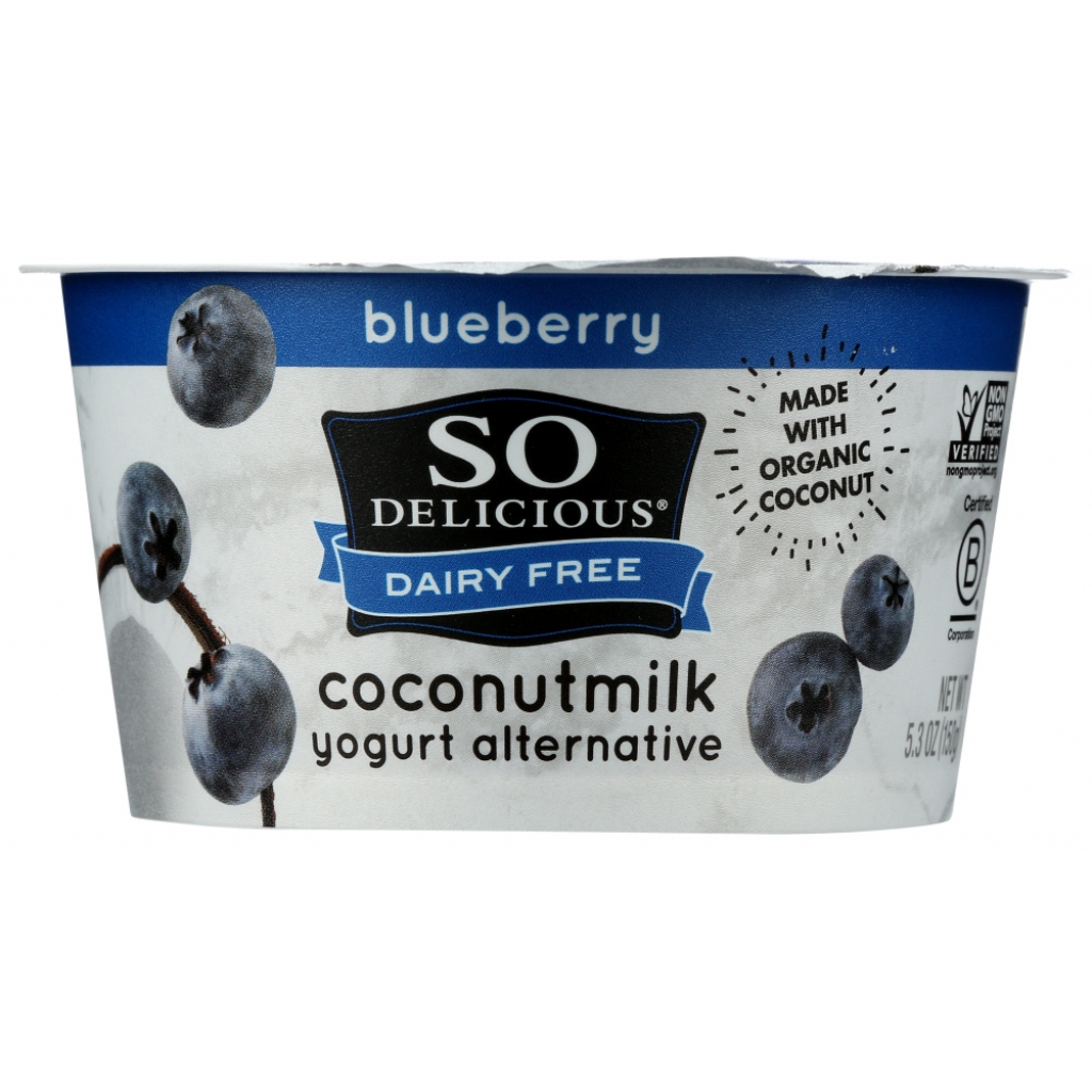 Blueberry Coconut Milk Yogurt Alternative - 5.3 oz