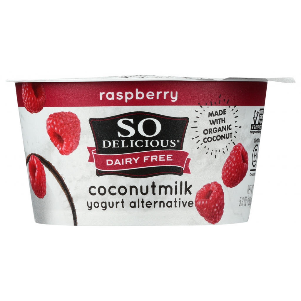 Raspberry Coconut Milk Yogurt Alternative - Delicious and Creamy