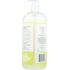 3-in-1 Juniper Lime Wash - 32 oz.