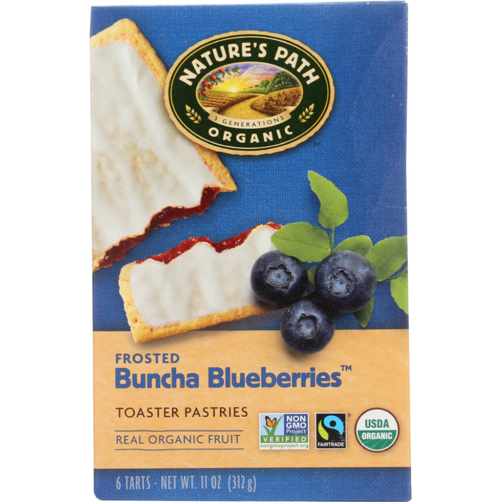 Frosted Blueberry Toaster Pastries - Organic Goodness