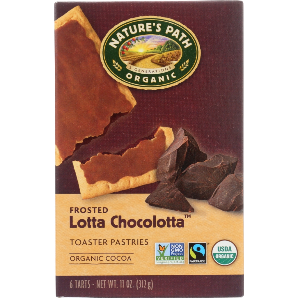 Organic Frosted Lotta Chocolotta Toaster Pastries - 11 oz Decadent Snack