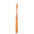 Eco-Friendly Medium Bristle Toothbrush