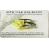 Wild White Anchovies in Water with Sea Salt - 4.4 oz - Gourmet Seafood