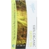 Organic Green Tea - 20 Bags