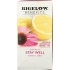 Benefits Herbal Tea - Lemon and Echinacea