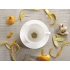 Citrus Ginger Organic Tea Drops - Refreshing Herbal Beverage