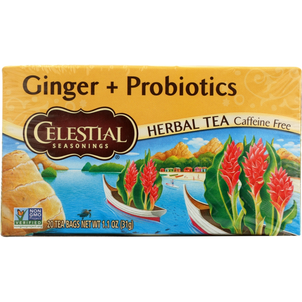 Organic Ginger Probiotic Herbal Tea