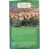 Organic Moroccan Mint Herbal Tea - Refreshingly Sweet