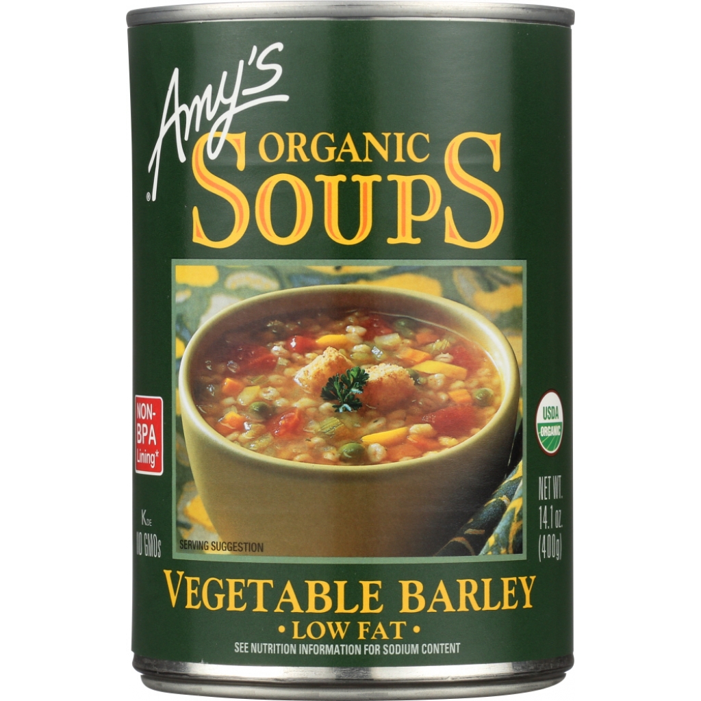 Organic Low Fat Vegetable Barley Soup - 14.1 oz