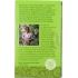 Organic Jasmine Green Tea - 20 Bags