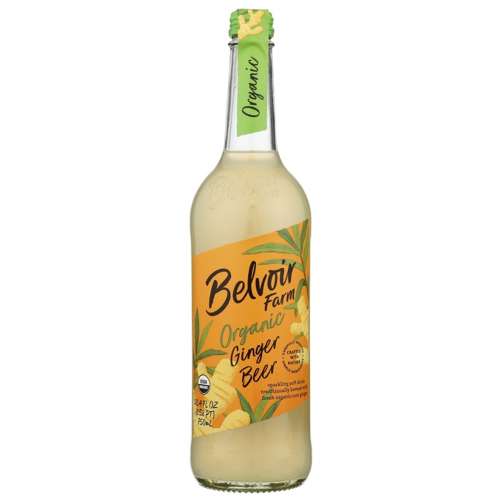 Organic Ginger Beer - 25.4 fl oz