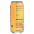 Mango Passion Fruit Sparkling Water with Yerba Mate - 16 oz