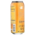 Mango Passion Fruit Sparkling Water with Yerba Mate - 16 oz