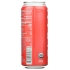 Watermelon Mint Sparkling Yerba Mate - 16 FO