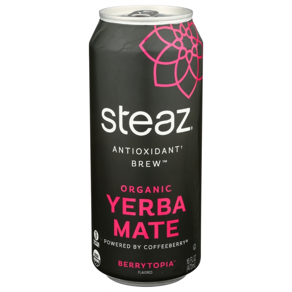 Yerba Mate Berrytopia, 16 fl oz