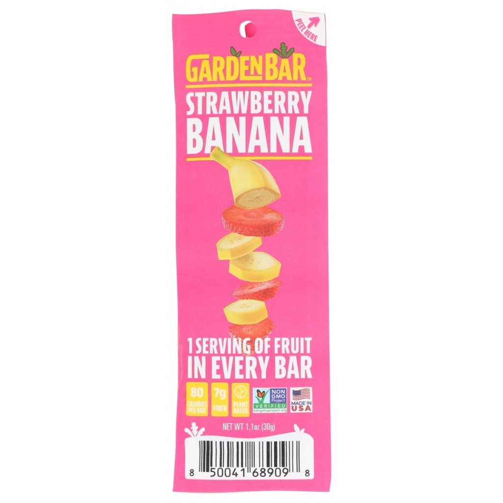 Strawberry Banana Snack Fruit Bar - 1.1 oz