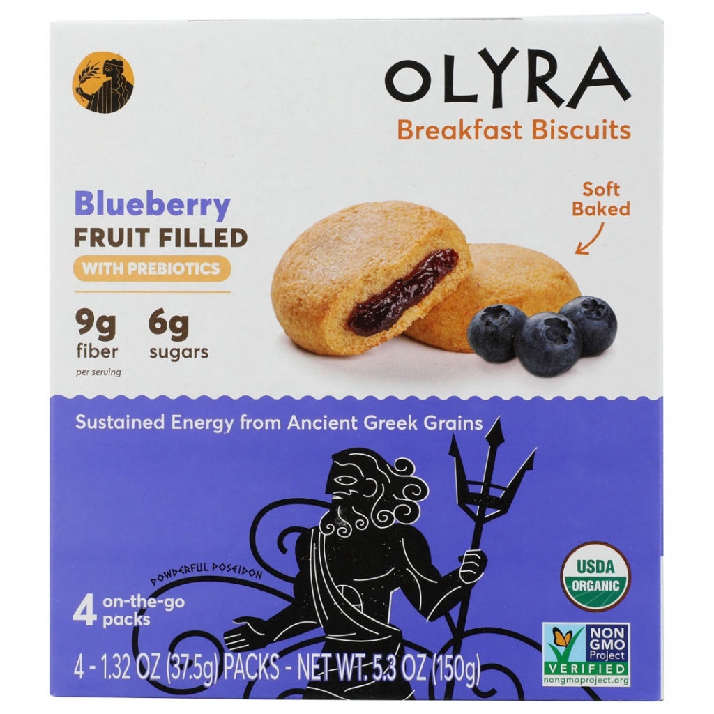 Delicious Blueberry Fruit and Grain Bites