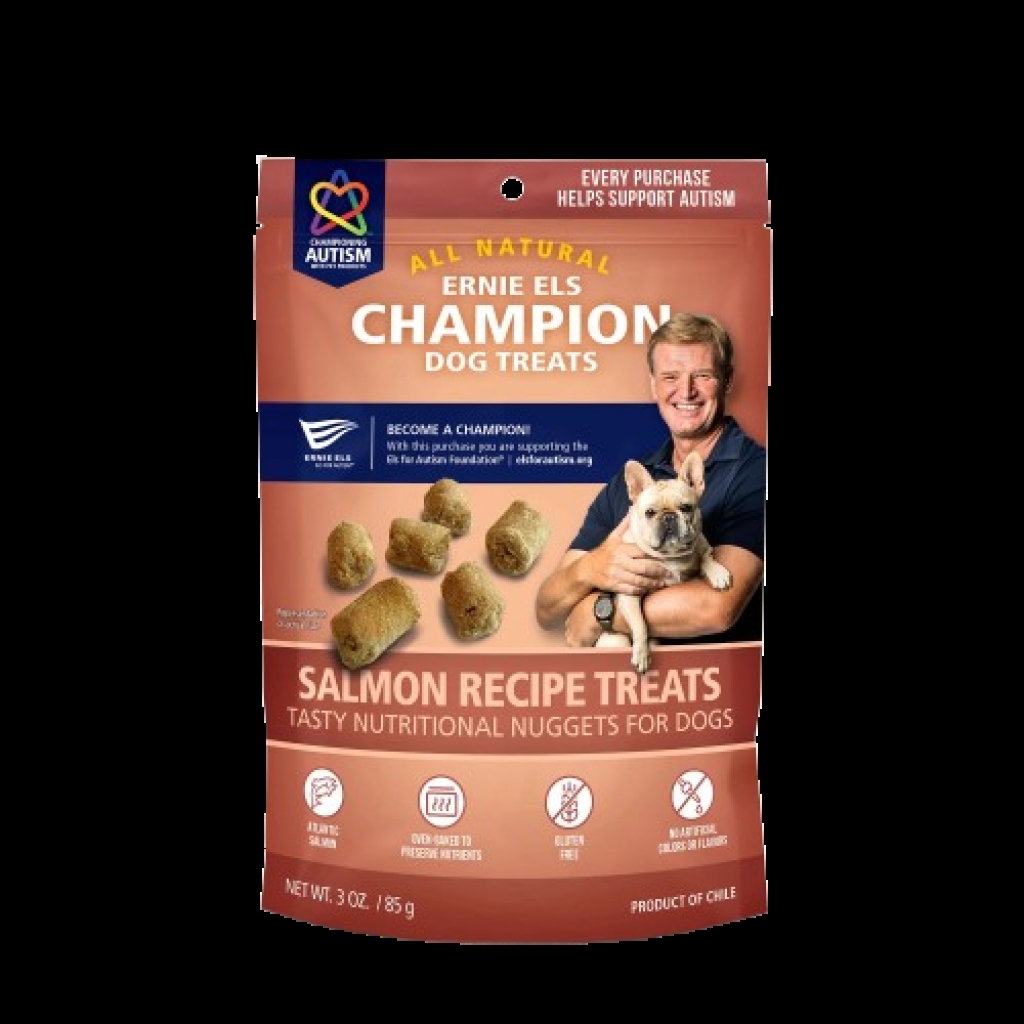 Nutritious Salmon Dog Treats - 3 oz