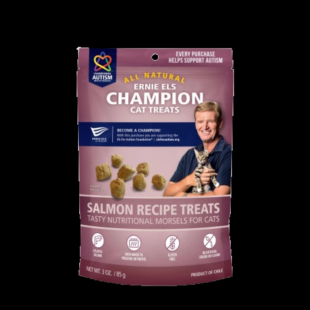 Protein-Rich Salmon Cat Treats - Nutritious Reward