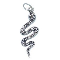 1 1/2 inch Snake Amulet