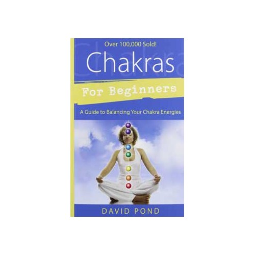 Chakras for Beginners Book by David Pond