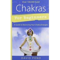 Chakras for Beginners Book by David Pond