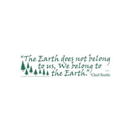 The Earth Does Not Belong To Us Chief Seattle Quote