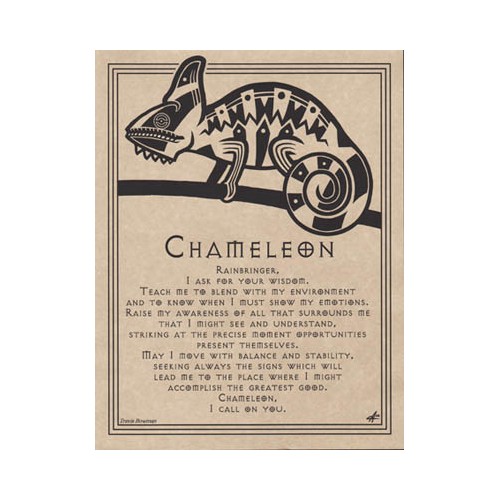 Chameleon Aspects Prayer Poster